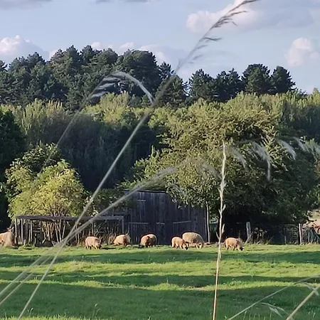Gaestehaus Familie Rinke Bad Harzburg