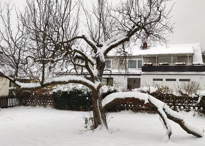 Gaestehaus Familie Rinke 3* Bad Harzburg